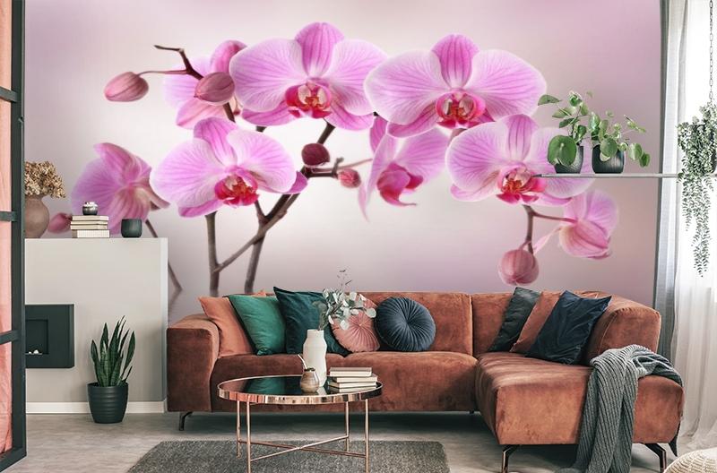картинка 3D Фотообои «Розовая орхидея над водой» | интернет-магазин фотообоев ARTDECO