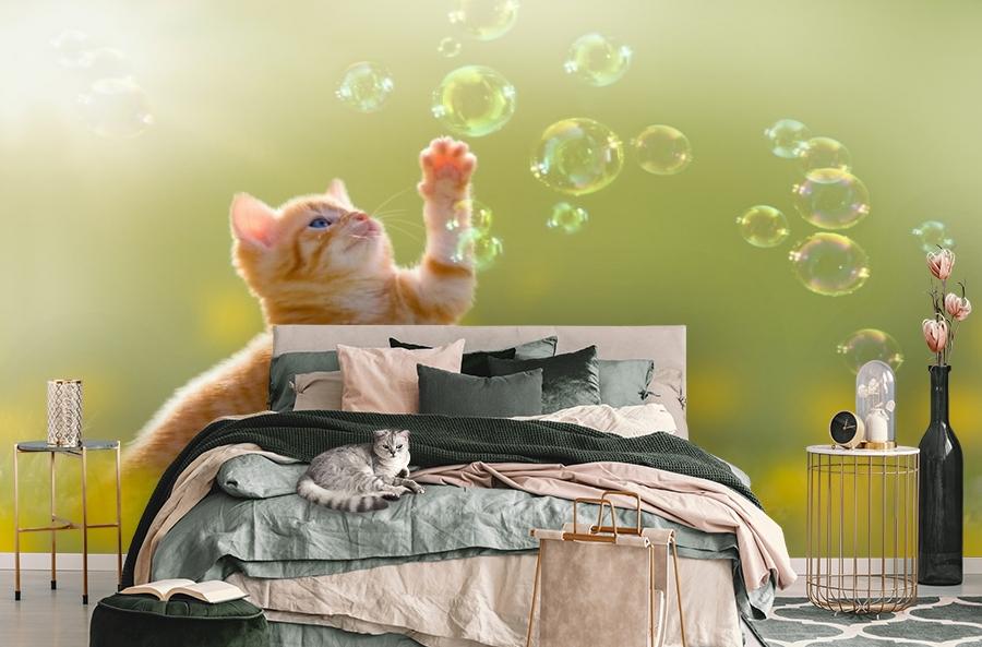 картинка 3D Фотообои «Рыжий кот с мыльными пузырями» | интернет-магазин фотообоев ARTDECO