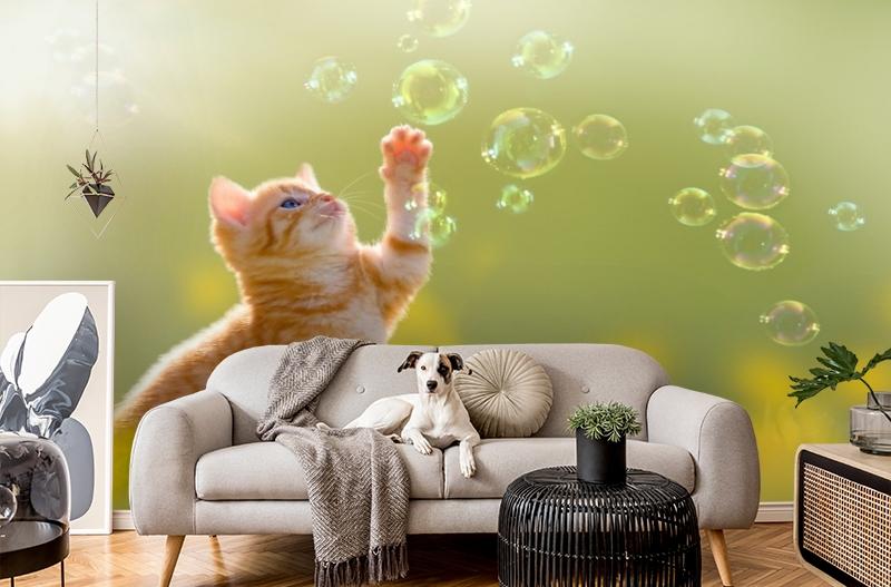 картинка 3D Фотообои «Рыжий кот с мыльными пузырями» | интернет-магазин фотообоев ARTDECO