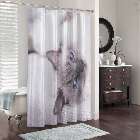 Штора для ванной «Голубоглазая кошка»
