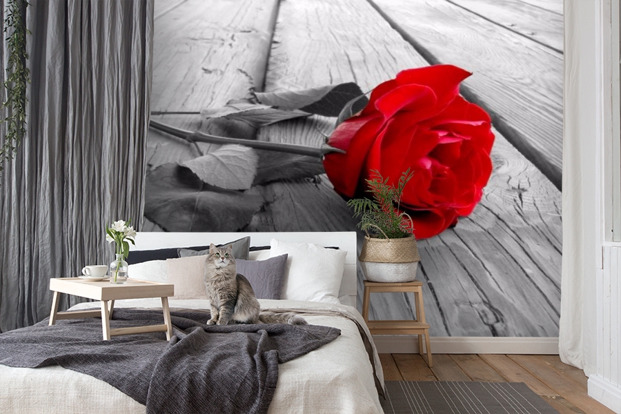 картинка 3D Фотообои «Черно белое фото с красной розой» | интернет-магазин фотообоев ARTDECO
