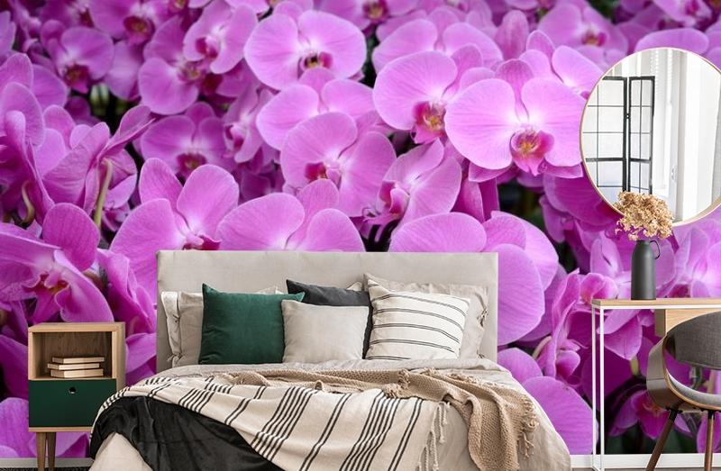 картинка 3D Фотообои «Ковер из орхидей» | интернет-магазин фотообоев ARTDECO