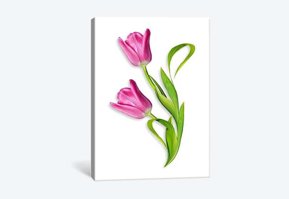 картинка 5D картина «Объемные тюльпаны. Арт 3» | интернет-магазин фотообоев ARTDECO