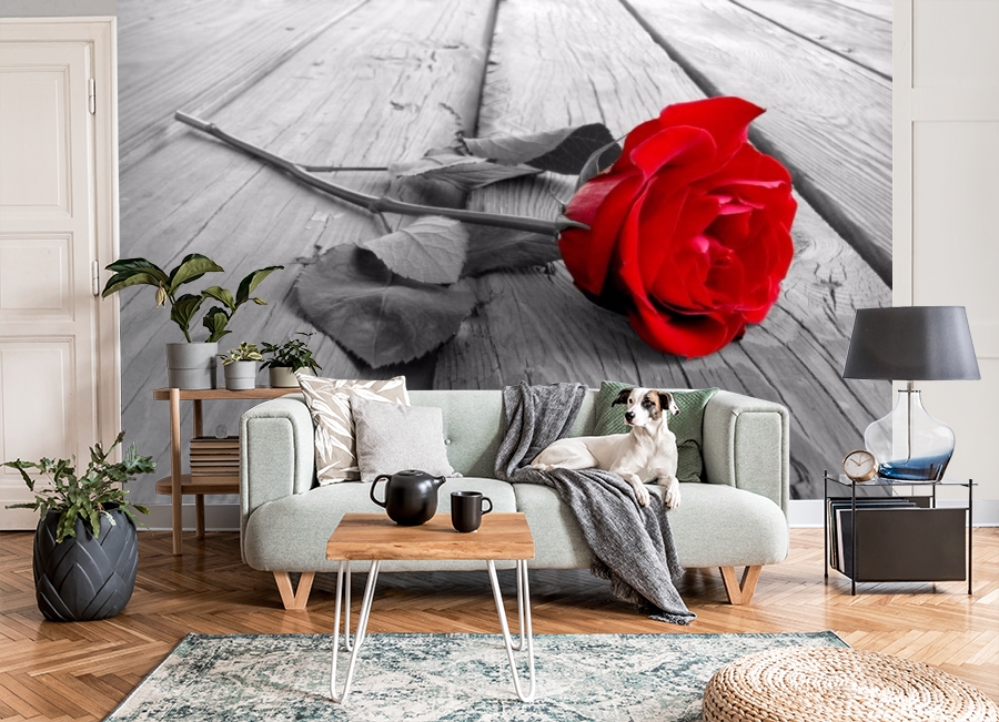 картинка 3D Фотообои «Черно белое фото с красной розой» | интернет-магазин фотообоев ARTDECO