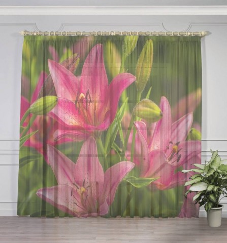 картинка 3D тюль "Клумба розовых лилий" | интернет-магазин фотообоев ARTDECO