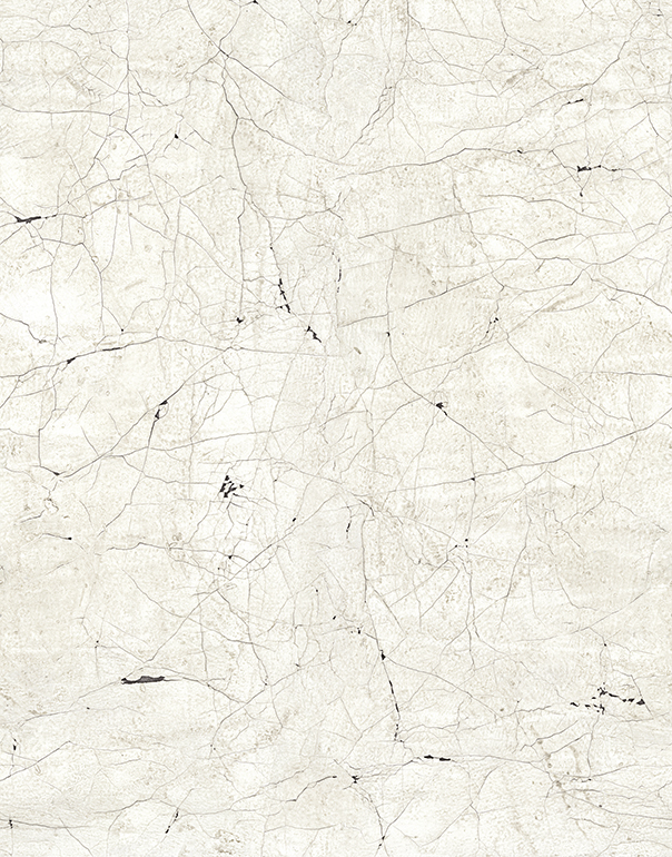 картинка 32757 Панно Marburg (New Spirit) (1*6) 2,70 x 2,12 винил на флизелине | интернет-магазин фотообоев ELEGANT HOME DECOR