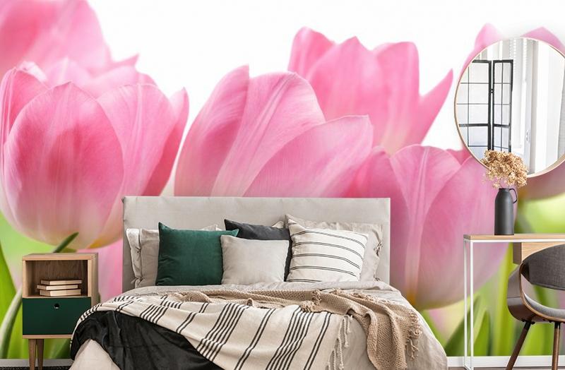 картинка 3D Фотообои «Крупные розовые тюльпаны» | интернет-магазин фотообоев ARTDECO