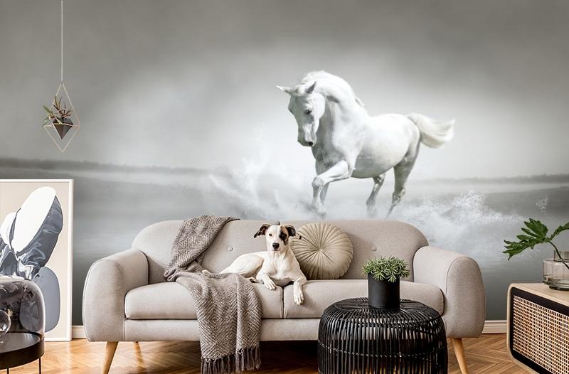 картинка 3D Фотообои «Белый конь бегущий по воде» | интернет-магазин фотообоев ARTDECO