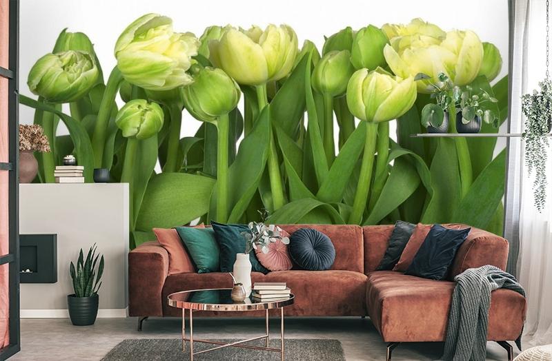 картинка 3D Фотообои «Салатовые тюльпаны» | интернет-магазин фотообоев ARTDECO