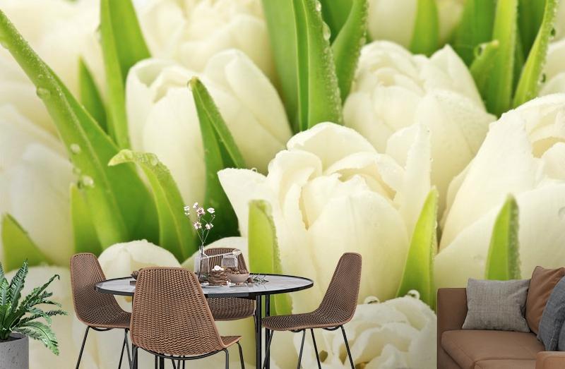 картинка 3D Фотообои «Белые тюльпаны» | интернет-магазин фотообоев ARTDECO