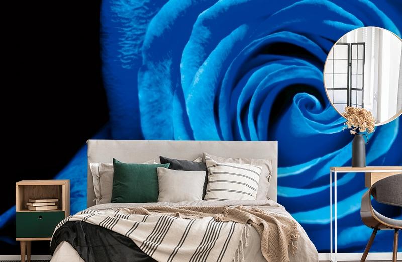 картинка 3D Фотообои «Синяя роза» | интернет-магазин фотообоев ARTDECO