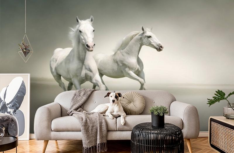 картинка 3D Фотообои «Белые лошади на сером фоне» | интернет-магазин фотообоев ARTDECO