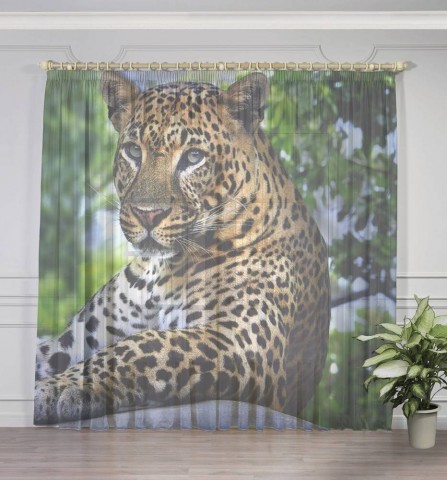 картинка Тюль для штор "Отдыхающий леопард" | интернет-магазин фотообоев ARTDECO