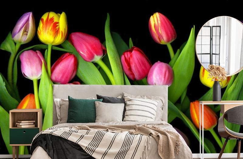 картинка 3D Фотообои «Тюльпаны на темном фоне» | интернет-магазин фотообоев ARTDECO