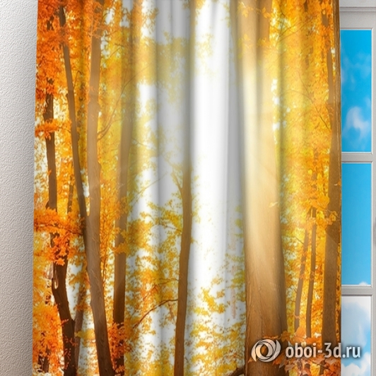 картинка Фотошторы «Осенний лес» | интернет-магазин фотообоев ARTDECO