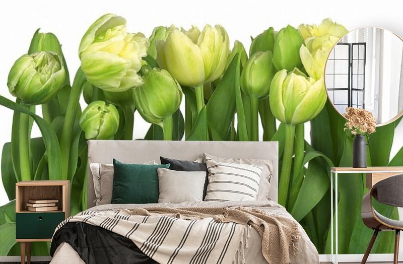 картинка 3D Фотообои «Салатовые тюльпаны» | интернет-магазин фотообоев ARTDECO