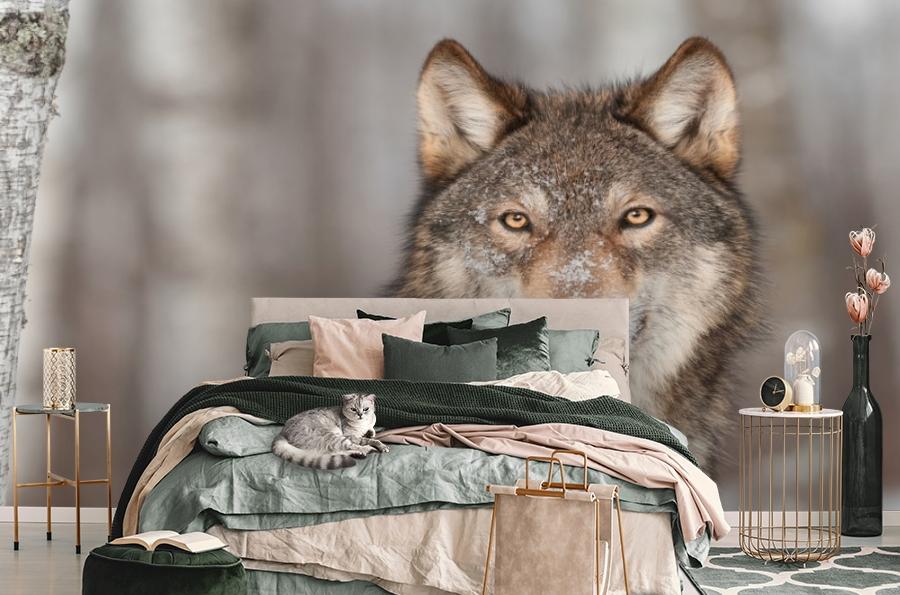 картинка 3D Фотообои «Взгляд волка» | интернет-магазин фотообоев ARTDECO