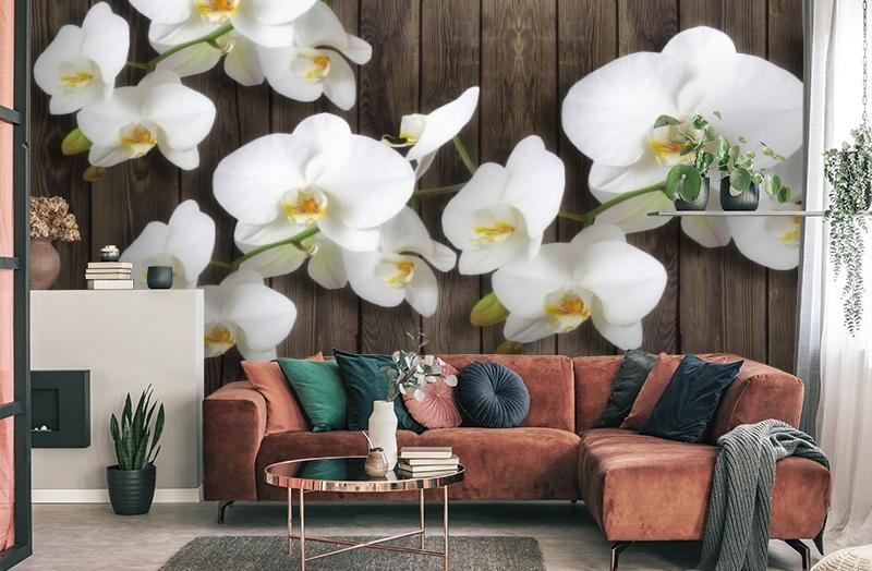 картинка 3D Фотообои «Роскошная орхидея» | интернет-магазин фотообоев ARTDECO