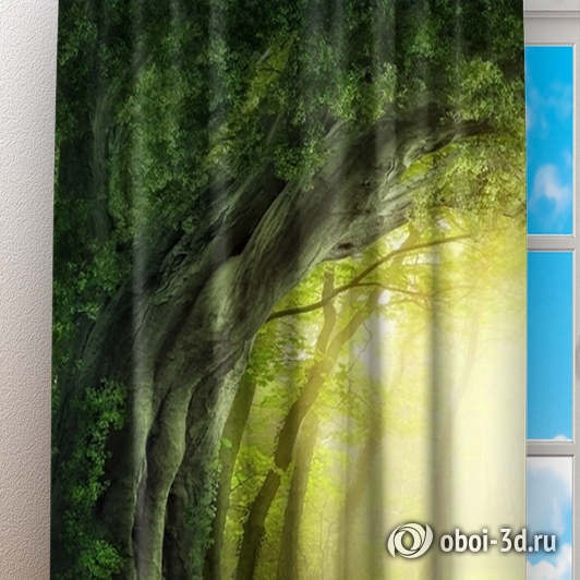 картинка Фотошторы «Тоннель из деревьев» | интернет-магазин фотообоев ARTDECO
