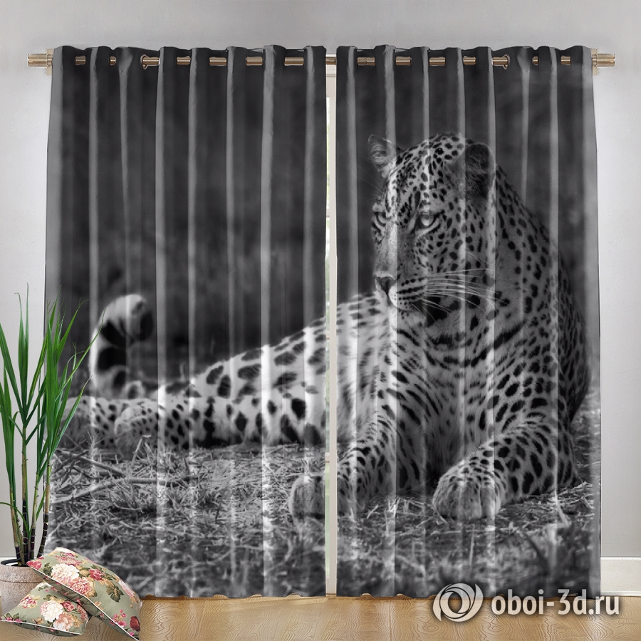 картинка Фотошторы «Черно белый леопард» | интернет-магазин фотообоев ARTDECO