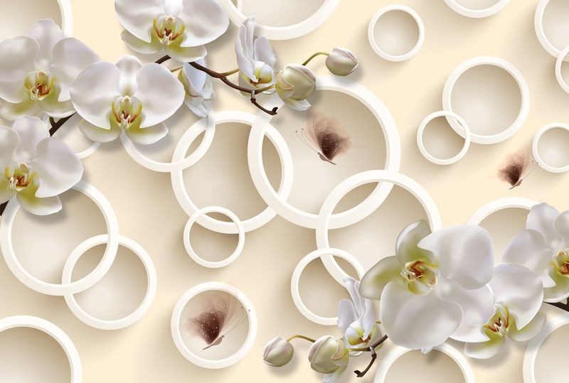 картинка 3D Фотообои  «Кремовые орхидеи с объёмными кругами и бабочками» | интернет-магазин фотообоев ARTDECO