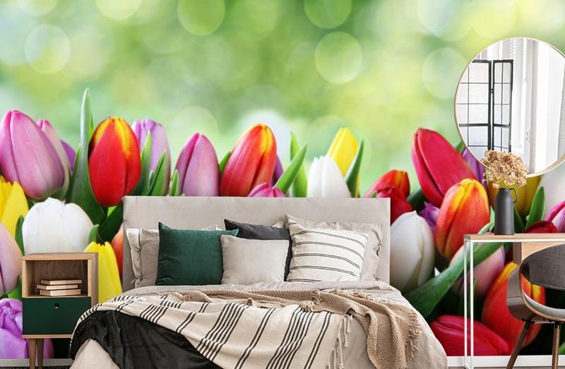 картинка 3D Фотообои «Разноцветные тюльпаны» | интернет-магазин фотообоев ARTDECO