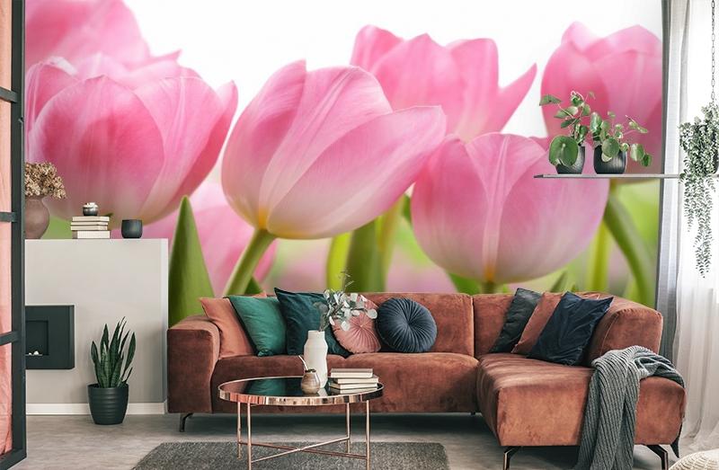 картинка 3D Фотообои «Крупные розовые тюльпаны» | интернет-магазин фотообоев ARTDECO