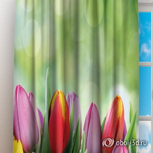 картинка Фотошторы «Разноцветные тюльпаны» | интернет-магазин фотообоев ARTDECO
