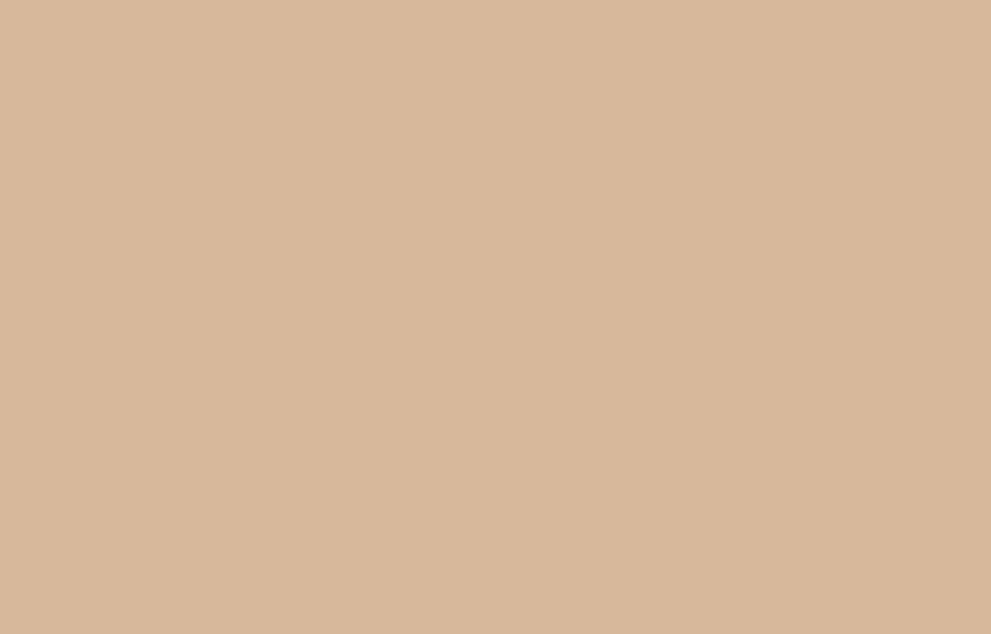 картинка C2 03 Обои HYGGE (77 Colors) (1*6) 10,05x1,00 флизелин | интернет-магазин фотообоев ELEGANT HOME DECOR