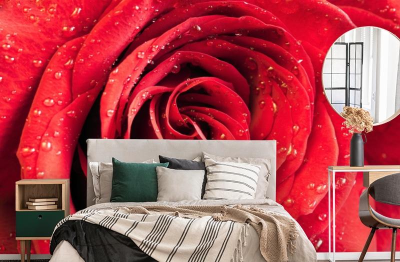 картинка 3D Фотообои «Красная роза» | интернет-магазин фотообоев ARTDECO