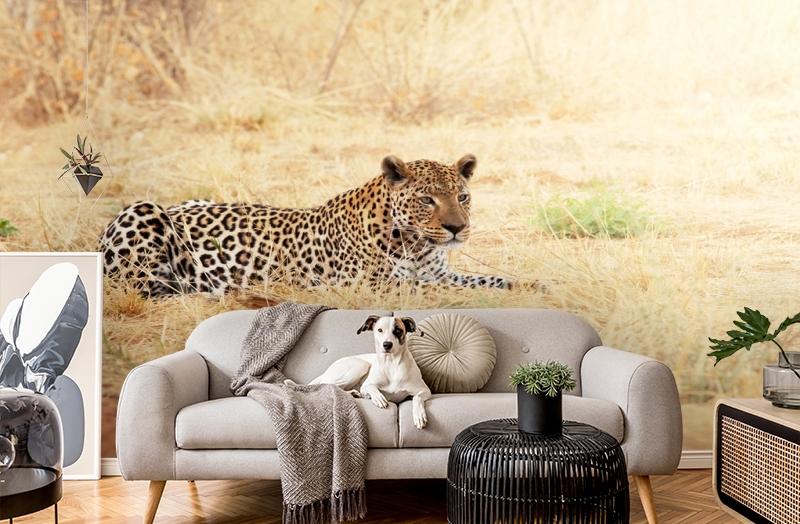 картинка 3D Фотообои «Леопард» | интернет-магазин фотообоев ARTDECO