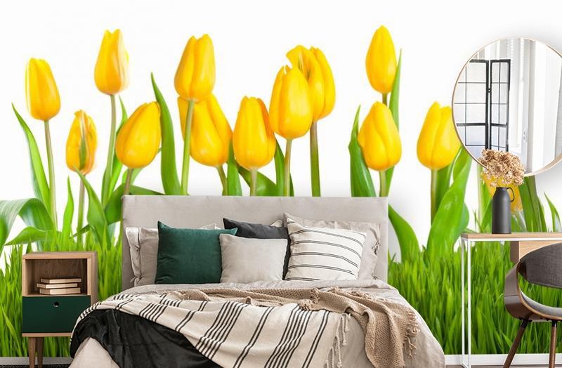 картинка 3D Фотообои «Желтые тюльпаны» | интернет-магазин фотообоев ARTDECO