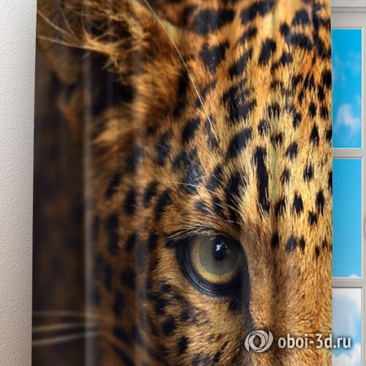 Фотошторы «Леопард портрет»