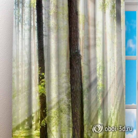 картинка Фотошторы «Солнечный лес» | интернет-магазин фотообоев ARTDECO