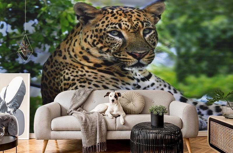 картинка 3D Фотообои «Отдыхающий леопард» | интернет-магазин фотообоев ARTDECO
