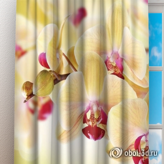картинка Фотошторы «Желтая орхидея» | интернет-магазин фотообоев ARTDECO