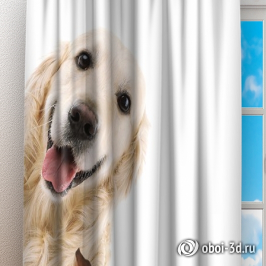 картинка Фотошторы «Довольные псы» | интернет-магазин фотообоев ARTDECO