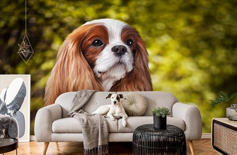 картинка 3D Фотообои «Длинноухая собачка» | интернет-магазин фотообоев ARTDECO