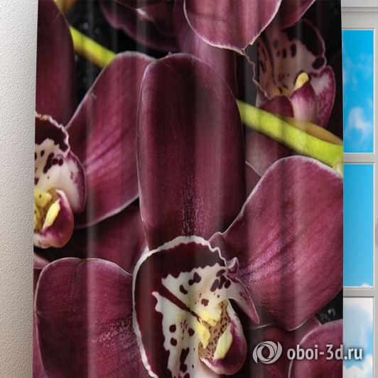 Фотошторы «Орхидеи и капли воды»