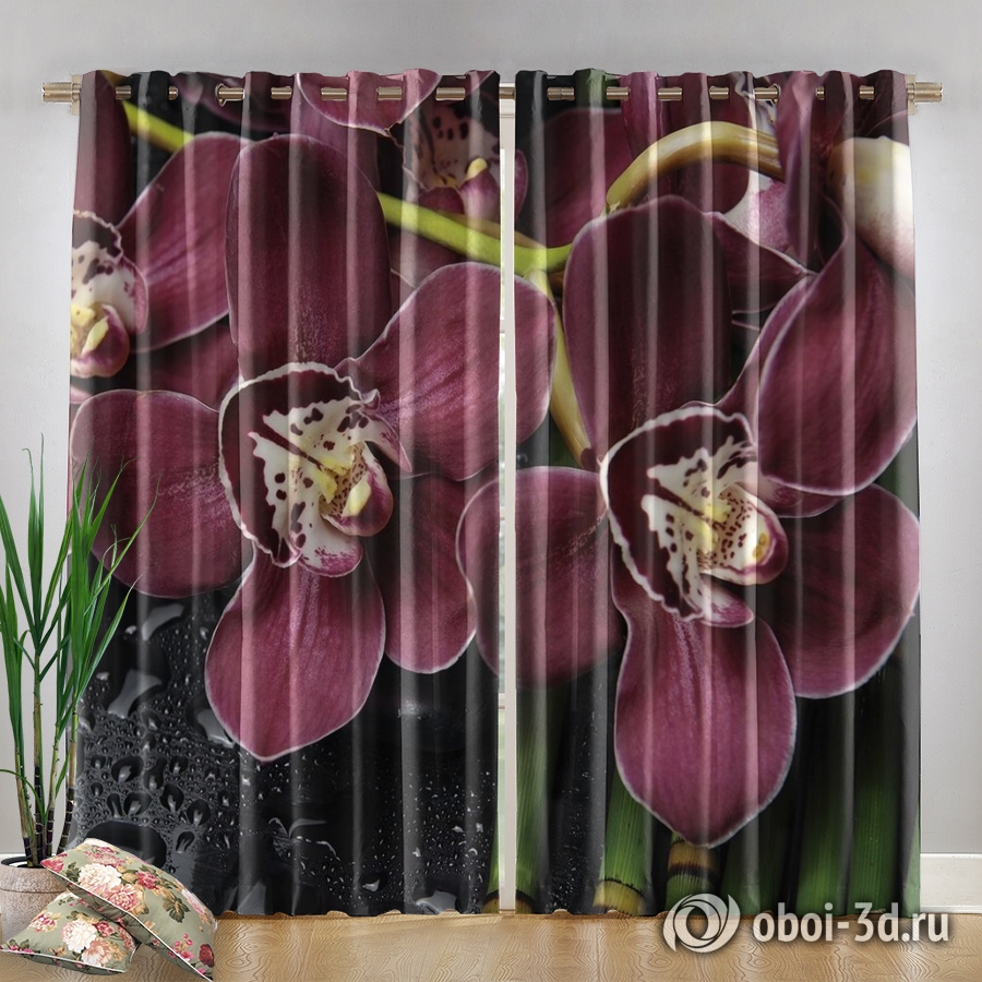 картинка Фотошторы «Орхидеи и капли воды» | интернет-магазин фотообоев ARTDECO
