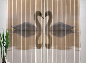 Фотошторы «Влюбленные лебеди»
