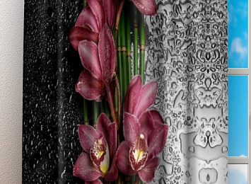 Фотошторы «Орхидеи в росе»