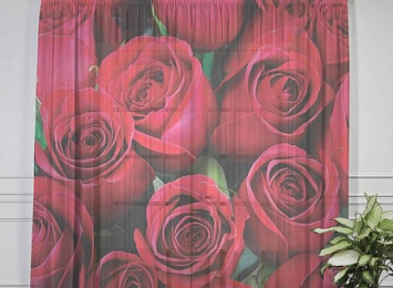 3D фототюль "Нежные бордовые розы"