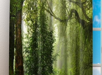 Фотошторы «Тропический лес»