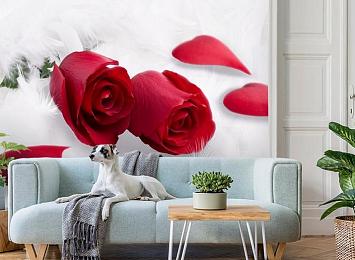 3D Фотообои «Красные розы в перьях»
