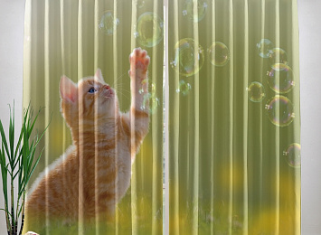 Фотошторы «Рыжий кот с мыльными пузырями»