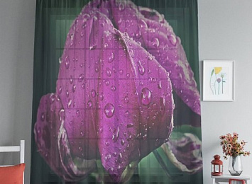 3D фототюль "Пион после дождя"