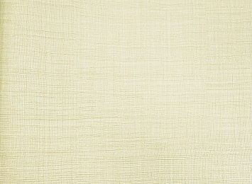 21838 Обои Zambaiti (Trussardi V) (1*6) 10,05x0,70 винил на флизелине