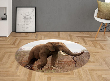 3D Ковер «Слон на прогулке»