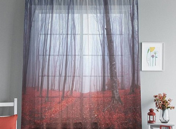 3D Тюль на окна "Осенний лес в тумане"